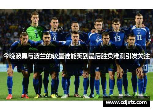 今晚波黑与波兰的较量谁能笑到最后胜负难测引发关注