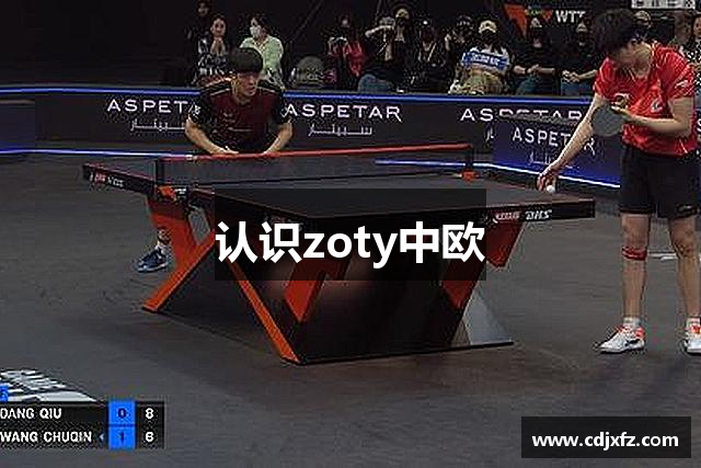 认识zoty中欧